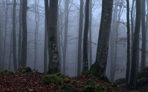 1755251 (a): :1920x1200